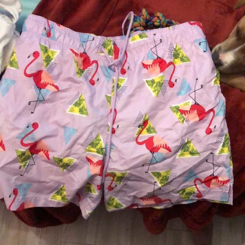 Size M (32-34) swim trunks